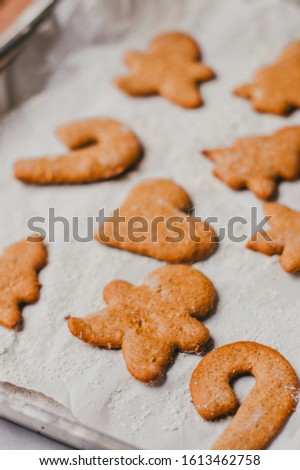 CHRISTMAS COOKIES GINGERBREADS SWEET HOLIDAYS BAKING