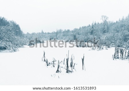 Snow covered marsh land. Horizontal image for winter stories. Heavy snowfall