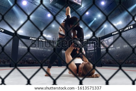 MMA female fighters on professional ring. 
