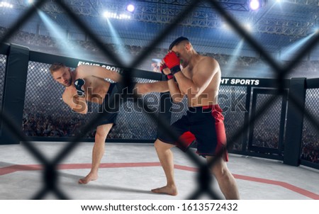 MMA fighters on professional ring.