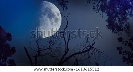 moon light picture  ,dark night pictures