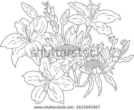 flower illustration Black & white vector
