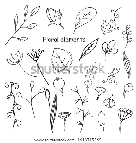 Hand drawn vector set of ornamental floral elements: berries, flowers, twigs, leaves. Black outlines isolated on white. Doodle style. Decoration for greeting cards, gifts, wrapping paper etc.