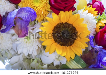 Yellow flower and others background