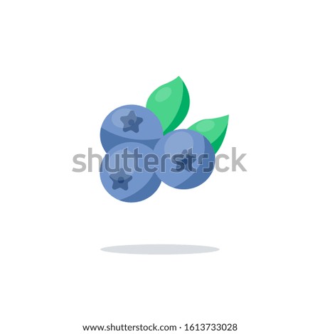 Blueberries illustration. Vector blueberries with leaves isolated on white background.