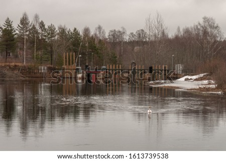 Lone swan swimming in cold lake in central sweden