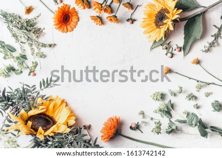 Frame of summer garden flowers with pretty sunflowers on white background, top view