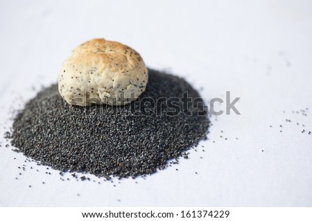 A handmade poppy seed cookie on a pile of poppy seeds on a white background.
