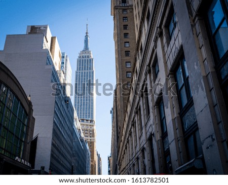 New York City's skyscrapers in summer
