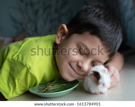 child and little guinea pig