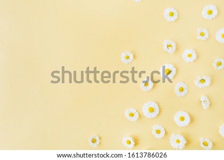 White chamomile daisy flowers pattern on yellow background. Flat lay, top view minimal floral composition.