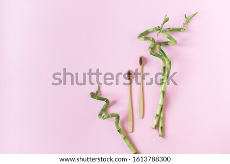Two brown bio-degradable, compostable bamboo toothbrushes on pink background flat lay. Decor with green plant of bamboo.
