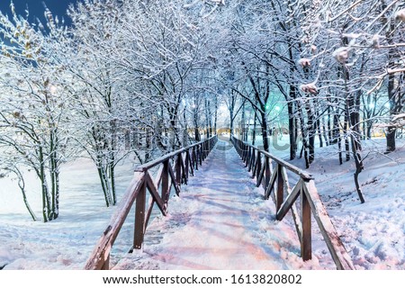 wooden bridge in a snowy park in the evening