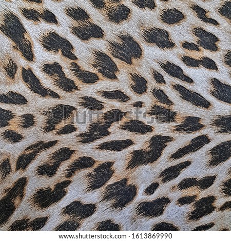 Background with leopard skin pattern. Ceramic tile with animal ornament for wall and floor decoration. Textile texture for interior design project.