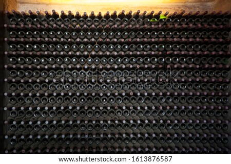 wine bottles in a cellar