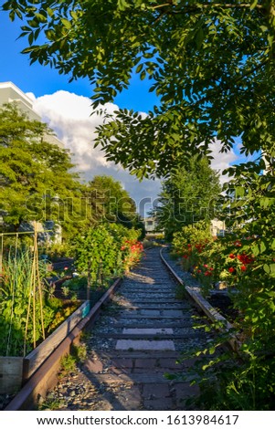 An edible garden supported by a thin trellis and surrounded beautiful red flowers and greenery, grows alongside old rail tracks lined with pebbles and pavers on this sunny and partially cloudy day.