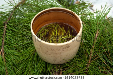 Cup of black tea with pine tree needles in it on green needles background side view. Healthy beverage tea in old cup. Royalty-Free Stock Photo #1614023938