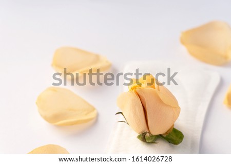 Yellow rose and sanitary pad on a white background.
