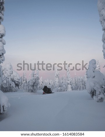 Snow covered trees in Lapland, Finland.