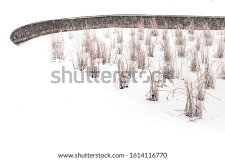 Frozen pond. Snow covered shrub branches. Heavy snowfall. Stormy winter weather. Details of winter nature. Tall dry grass covered in snow. Snow Covered Park.