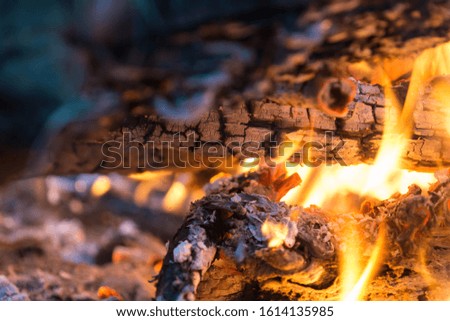 Close-up of burning bonfire. Nature abstract background