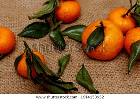 Small tangerines with green leaves.