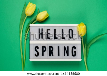 Hello Spring - text on a display lightbox with yellow  tulips on green background.