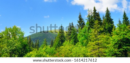Amazing mountain landscape - natural outdoor travel background. Beauty world. Wide photo.