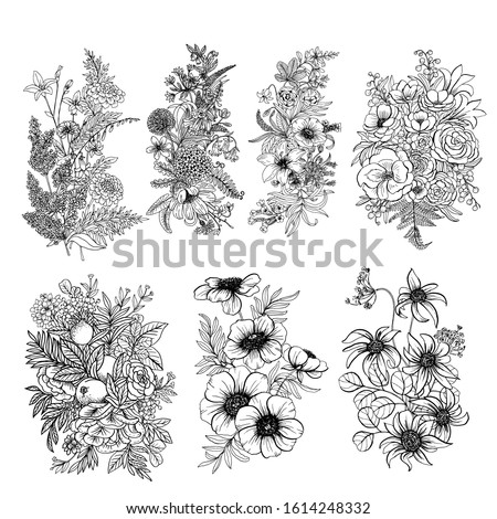 Wild and garden flowers, Floral compotions and bouquets. Outline hand drawn vector illustrations