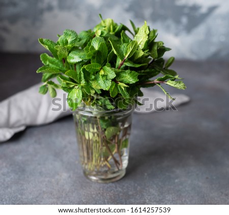 A bunch of green mint on a gray background. Bright useful greens. Vitamins, healthy food.