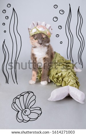 A three-colored cat, a mermaid queen in a crown decorated with shells, with a fish tail in green scales, sits on a gray background among the contoured seabed.