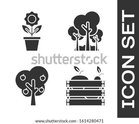 Set Wooden box for fruits and vegetables, Flower in pot, Tree with apple and Trees icon. Vector
