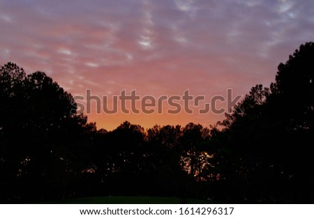 Beautiful Sunset in Southern Alabama the first of the year 2020. Taken over a golf course in Montgomery, AL the sun was cresting over the tree skyline so perfectly. 