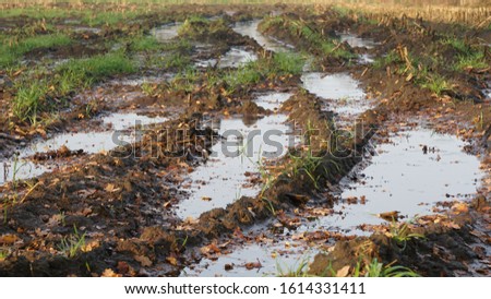 Wet and muddy farmland in winter with deep tracks left by the machines during harvest of the maize Royalty-Free Stock Photo #1614331411