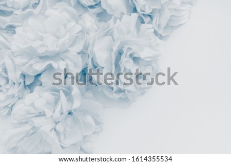 Beautiful abstract color purple and blue flowers on white background and light purple flower frame and purple leaves texture, purple background, colorful blue banner happy valentine
