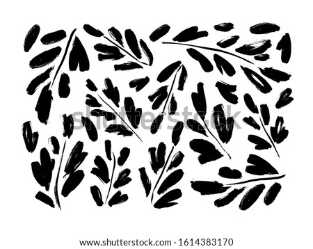 Leaves and branches vector collection. Hand drawn plant elements painted with a brush. Rough twig, leaves or sprig. Silhouette of herbs isolated on white background. Clip art and icons floral element