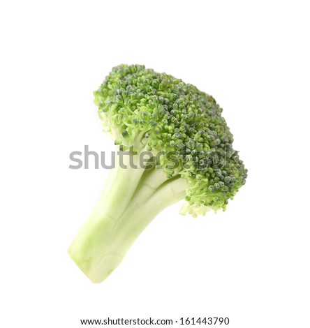 Close up of fresh broccoli. Isolated on a white background