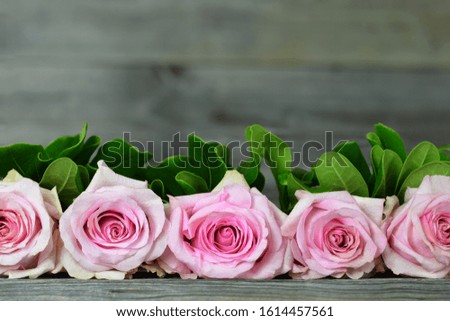Mothers Day background with border of pink roses    