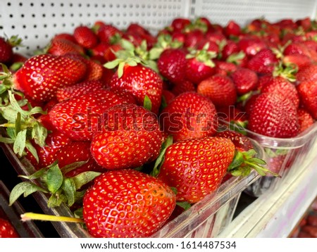 Punnets of strawberries for sale on the refrigerated shelf at a market