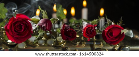 red rose in black background.smoke and candles .romantic flower saint valentines day.death and funeral flowers for musician saxophone