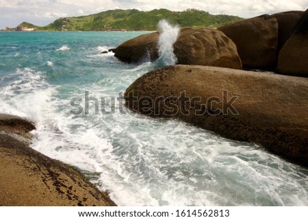 A landscape of a sea surrounded by greenery and rocks under sunlight in Brazil