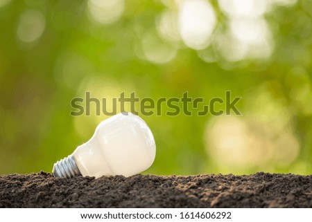 Growth or Saving Energy concept. People planting white light bulb in soil on green garden or nature blur background