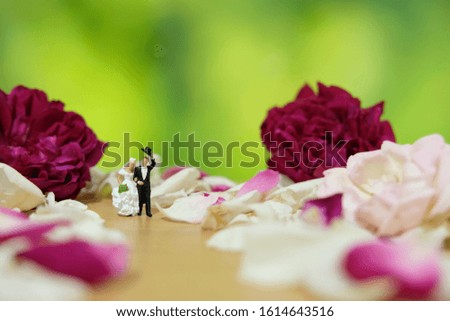 Miniature photography - outdoor / garden wedding ceremony concept, bride and groom walking on red and white white rose flower pile	