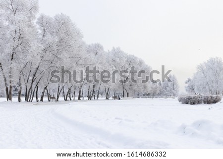 Beautiful winter landscape - trees and bushes covered with snow along a circular alley in a winter park