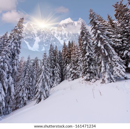 Beautiful winter landscape in the high mountains