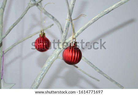Christmas or New Year background with decorative red balls hanging on white branches with frozen effect. Winter decorations and design ideas.  
