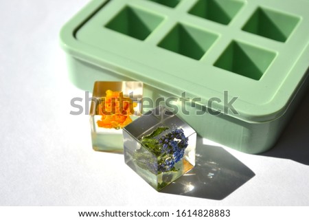 Dried flowers in epoxy resin cubes. Green silicone mold isolated on white background. Handmade jewelry.  Royalty-Free Stock Photo #1614828883