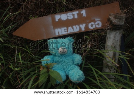 blue teddy bear with a scenic background