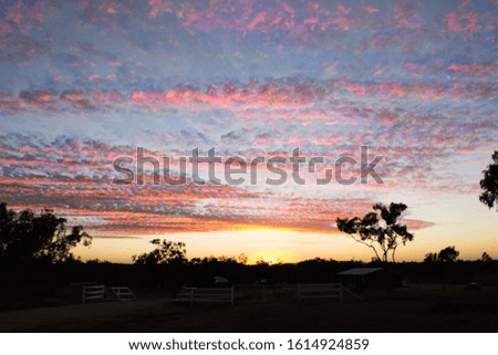 interesting textured pink clouds as sun sets in outback Australia with trees silhouetted on yellow dusk sky