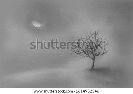 snowy evening winter lanscape with tree